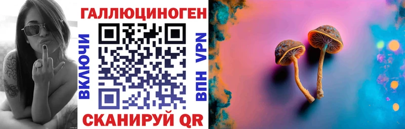 Купить  Калач  Псилоцибиновые грибы Cubensis 